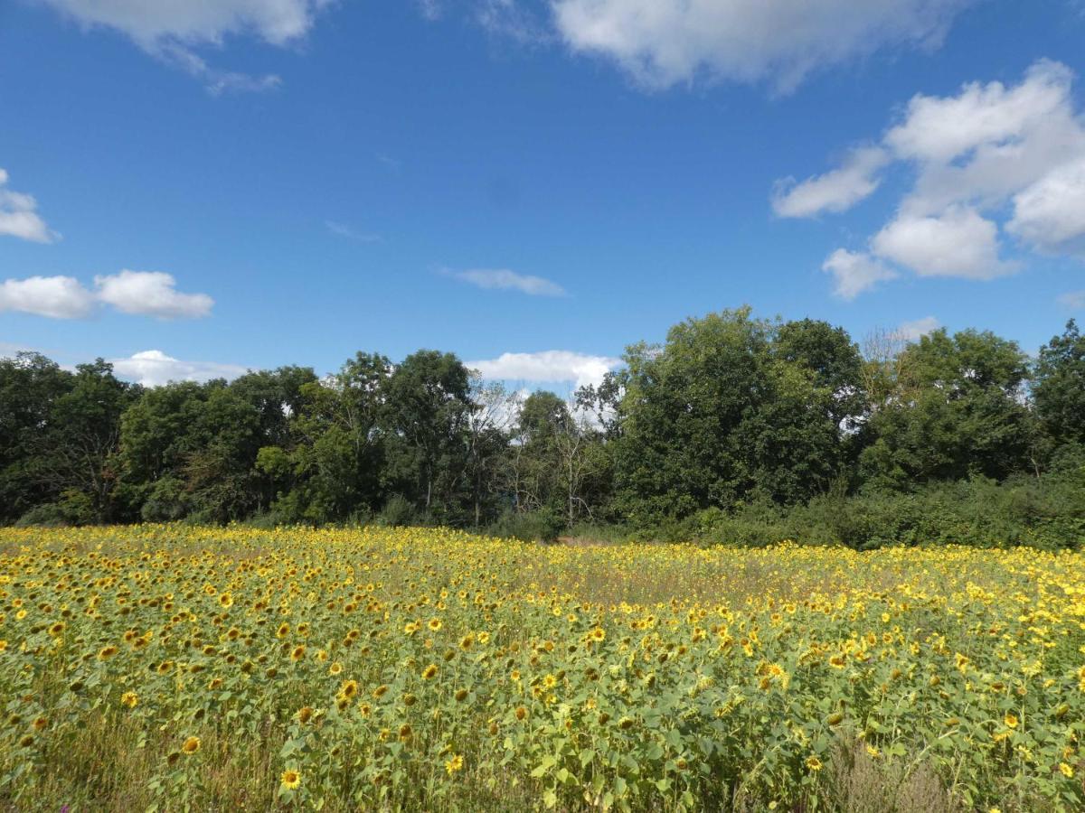 Naturstammhaus Tollensesee Groß Nemerow Eksteriør billede